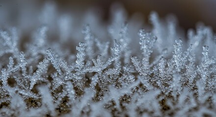Obraz premium Macro Photo of Frost Crystals on a Surface in Winter Blue Light Realistic Photo