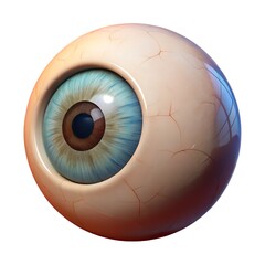 Anatomical Eyeball Illustration The Human Eye Detailed Round Shape