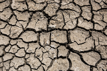 Drought cracked landscape, dead land due to water shortage and climate change like global warming