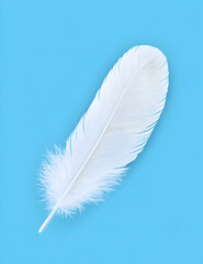 Single white feather on blue background