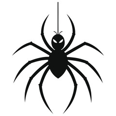 spider on white background