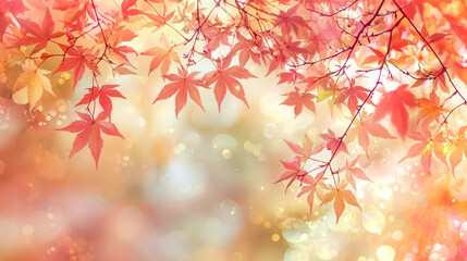 Fototapeta premium web banner design for autumn season and end year activity with red and yellow maple leaves with soft focus light and bokeh background