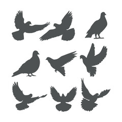 Dove Silhouette vector illustration