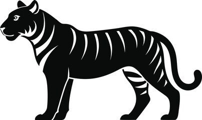 tiger cartoon isolated on white