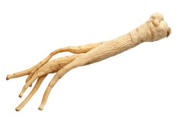 High quality image of a dried ginseng root