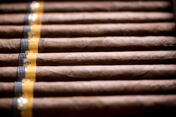Cuban cigars close up and cigarette with smoke and concept of cigarettes 