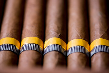 Cuban cigars close up and cigarette with smoke and concept of cigarettes 