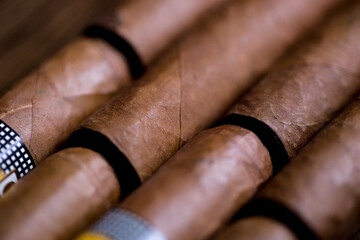 Cuban cigars close up and cigarette with smoke and concept of cigarettes 