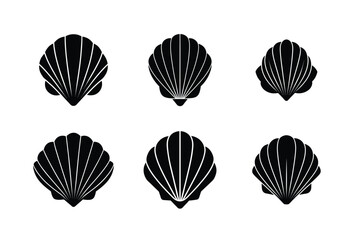 beach themed seashell vector clipart