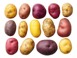 Assorted potato types including russet, red, and yellow varieties are beautifully arranged clean flat lay. This vibrant display showcases unique textures and colors of each potato, evoking sense