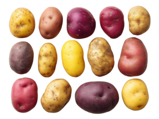 Assorted potato types including russet, red, and yellow varieties are beautifully arranged clean flat lay. This vibrant display showcases unique textures and colors of each potato, evoking sense