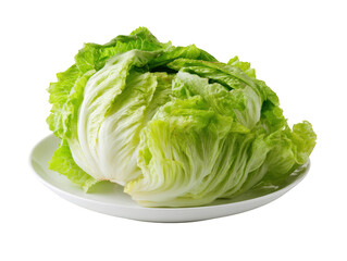Fresh half iceberg lettuce placed on white ceramic plate, showcasing its crisp texture and vibrant green color, perfect for salads or garnishes