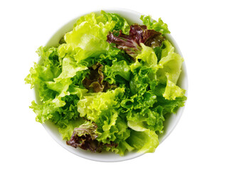 Fresh vibrant lettuce mix inside shallow white bowl, showcasing variety of green hues and textures, perfect for salads or garnishes. This colorful mix adds healthy touch to any meal