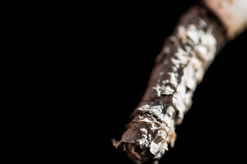 Burning cigarette with smoke and concept of cigarettes 