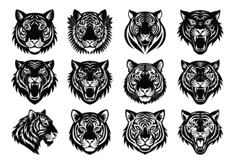 set of tiger face on white background. angry tiger face