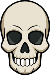 Detailed Human Skull Anatomy Illustration: Medical Diagram of Facial Structure, Bone Composition, Healthcare Reference for Education and Science