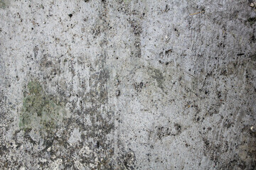 Fototapeta premium white concrete wall peeling paint