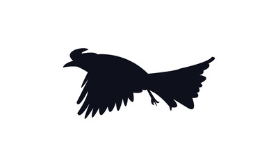 Aldabra drongo bird Silhouette Design  And Vector Illustration. 
