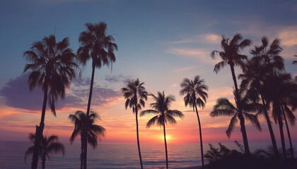 A serene beach landscape featuring silhouetted palm trees against a vibrant sunset sky, showcasing the beauty of tropical evenings.