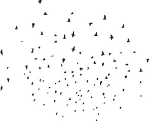 Minimalist Flock of Birds in Flight on White Sky Background