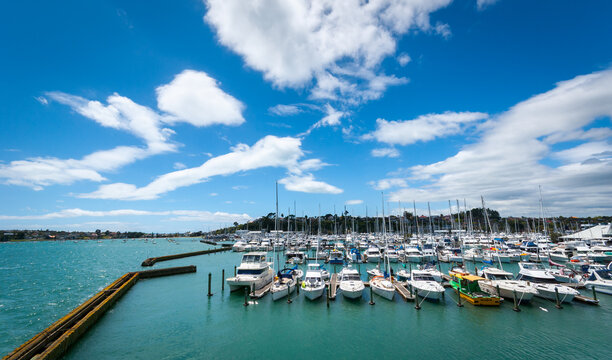 Boats moored at Half Moon Bay marina in Auckland