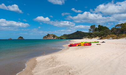 Beach scene at Hahei Beach on the Coromandel Peninsula in New Zealand