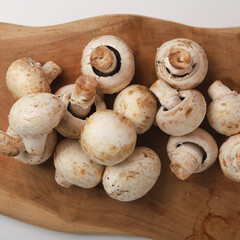 Champignon mushroom on white background