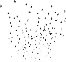 Minimalist Flock of Birds in Flight on White Sky Background