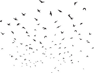 Minimalist Flock of Birds in Flight on White Sky Background