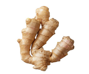 ginger root isolated on white