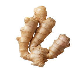 ginger root isolated on white