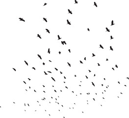 Minimalist Flock of Birds in Flight on White Sky Background