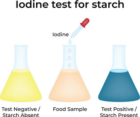 Iodine Test for Starch Visual Guide