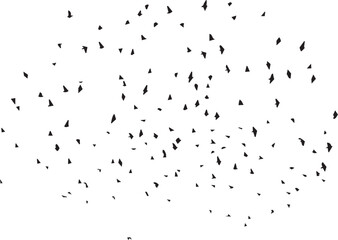 Minimalist Flock of Birds in Flight on White Sky Background