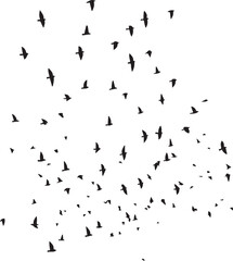 Minimalist Flock of Birds in Flight on White Sky Background
