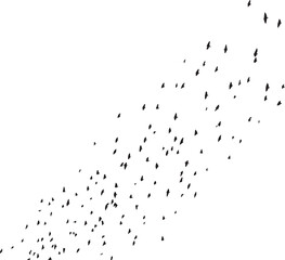 Fototapeta premium Minimalist Flock of Birds in Flight on White Sky Background