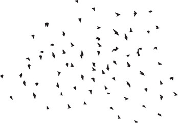 Minimalist Flock of Birds in Flight on White Sky Background