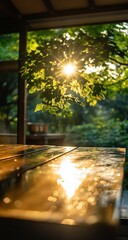 Sunlit garden patio table.