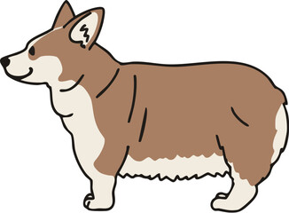 横から見た可愛いレッドカラーのコーギーのイラスト