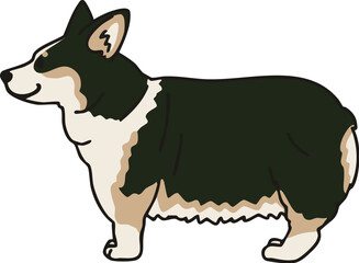 横から見た可愛いトライカラーのコーギーのイラスト