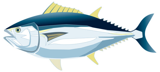 マグロ_イラスト