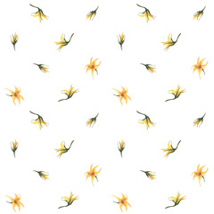 Obraz premium Yellow flowers and buds of tomato plant seamless pattern. Watercolor botanical floral design. Realistic hand drawn illustration for fabric, wallpaper on isolated white background. Gardening clipart