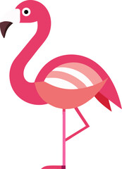 flamingo vector illustration