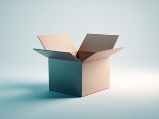 Open cardboard box (1)