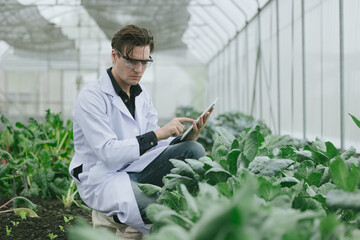 Scientist people working plant research in organic farm. Biologist study collecting plant grow data