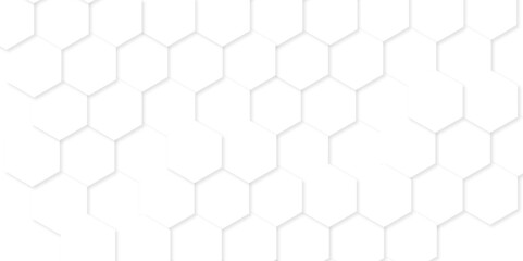 Minimal white hexagonal hexagon modern technology creative emboss light honeycomb polygonal web. abstract geometric science and mosaic tile with template texture background.	