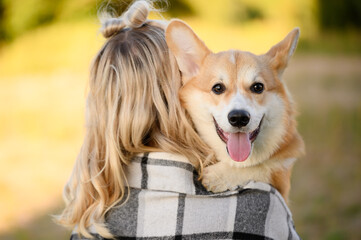 Girl stands with her back to frame and holds in her arms, hugs and presses Welsh Corgi dog to...