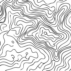 Abstract Black and White Topographic Pattern Background