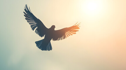 Obraz premium Dove in Flight: A silhouette of a dove in flight against a warm, sunlit sky, conveying a sense of peace, hope, and freedom. 