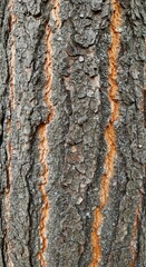 Photo of Detailed Tree Bark Texture Displaying Natural Wood Surface